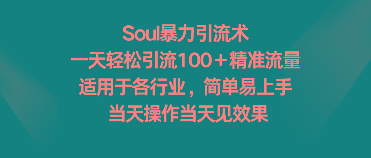 Soul暴力引流术，一天轻松引流100＋精准流量，适用于各行业，简单易上手！-轻资本网