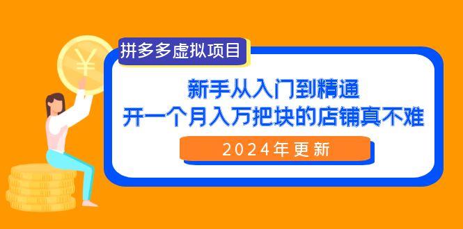 (9744期)拼多多虚拟项目：入门到精通，开一个月入万把块的店铺 真不难(24年更新)-轻资本网