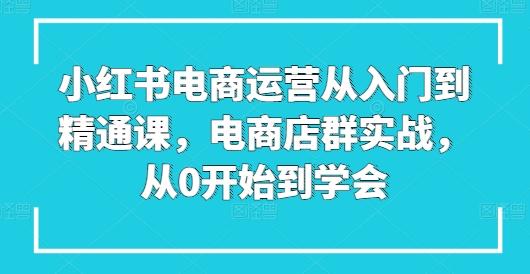 小红书电商运营从入门到精通课，电商店群实战，从0开始到学会-轻资本网