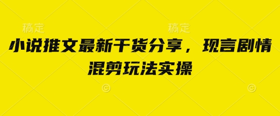 小说推文最新干货分享，现言剧情混剪玩法实操-轻资本网
