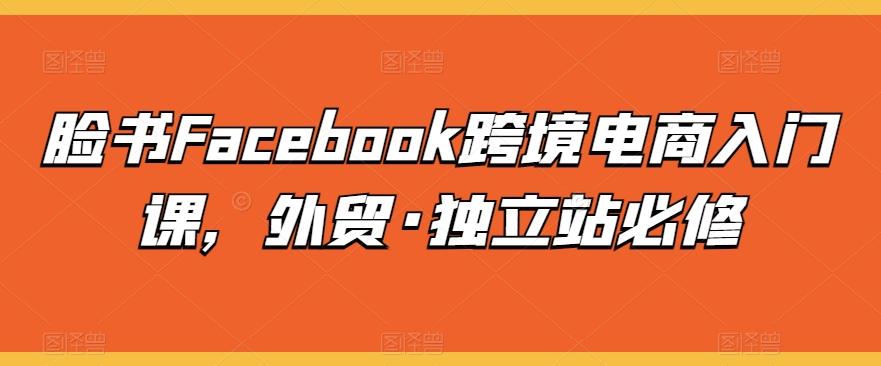 脸书Facebook跨境电商入门课，外贸·独立站必修-轻资本网