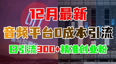 12月最新：音频平台0成本引流，日引流300+精准创业粉-轻资本网