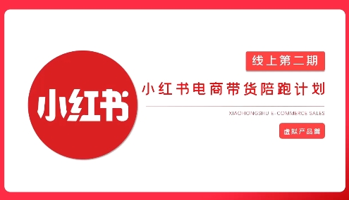 2025小红书虚拟电商实战课，从0到1打造无货源店铺，AI+爆款笔记轻松变现-轻资本网