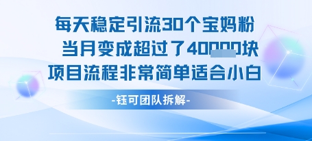 每天稳定引流30个人 当月变成超过了4个W项目流程非常简单适合小白-轻资本网