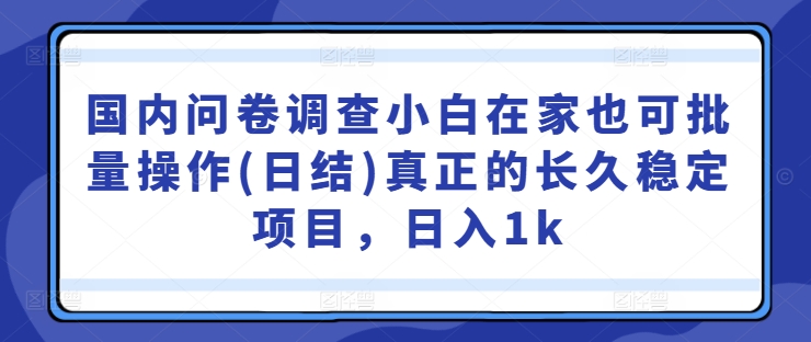 国内问卷调查小白在家也可批量操作(日结)真正的长久稳定项目，日入1k【揭秘】-轻资本网