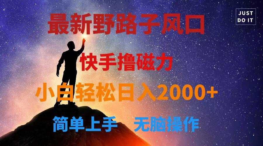 最新风口！快手撸磁力，野路子，小白无脑操作日入2000+-轻资本网