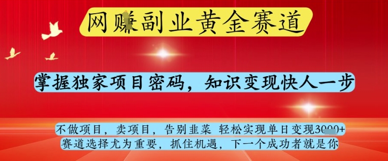 网创副业黄全赛道，掌握独家项目密码，知识变现快人一步，告别韭菜轻松实现单日变现1k+【揭秘】-轻资本网
