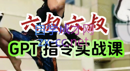 六叔的AI指令实战课(更新7月)-轻资本网