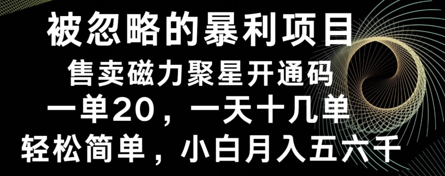 被忽略的暴利项目！售卖磁力聚星开通码，一单20，一天十几单，轻松月入五六千-轻资本网