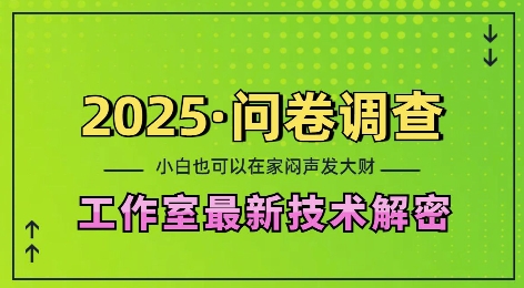 2025问卷调查最新工作室技术解密：一个人在家也可以闷声发大财，小白一天2张，可矩阵放大【揭秘】-轻资本网