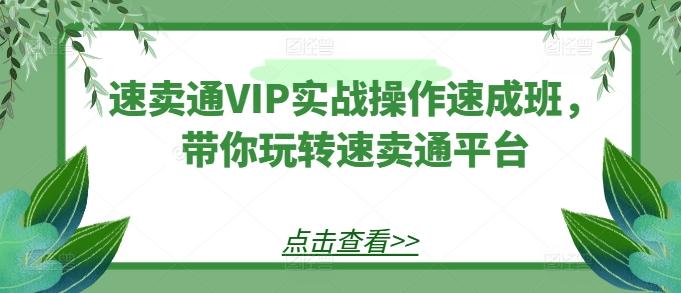 速卖通VIP实战操作速成班，带你玩转速卖通平台-轻资本网