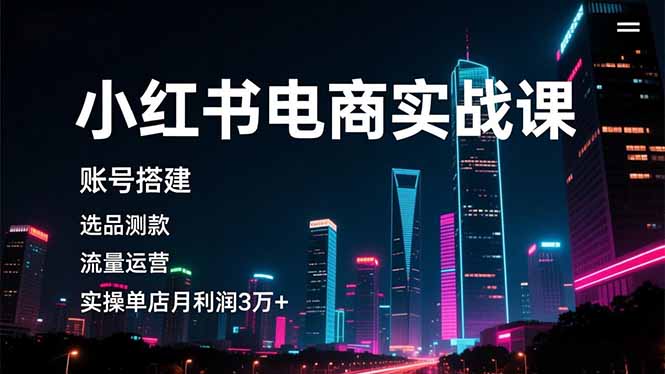 小红书电商实战课，账号搭建，选品测款，流量运营，实操月利润3万+-轻资本网