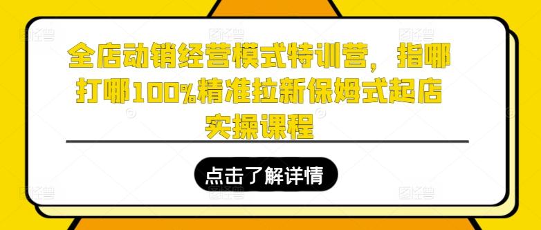全店动销经营模式特训营，指哪打哪100%精准拉新保姆式起店实操课程-轻资本网