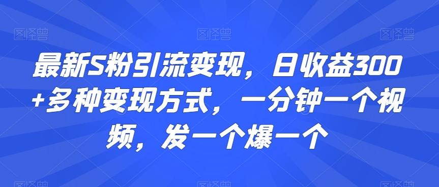 最新S粉引流变现，日收益300+多种变现方式，一分钟一个视频，发一个爆一个【揭秘】-轻资本网