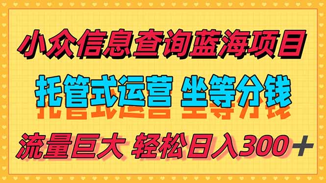 稳定日入300＋，小众信息查询蓝海项目，全程懒人式托管，解放你的时间-轻资本网