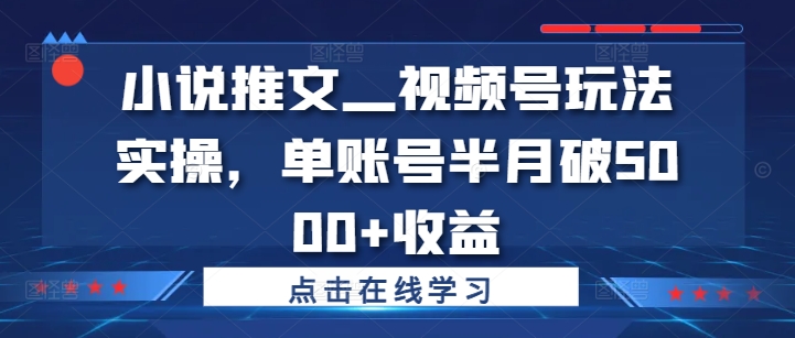 小说推文—视频号玩法实操，单账号半月破5000+收益-轻资本网