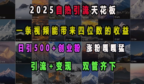 2025自热引流天花板，一条视频能带来四位数的收益，引流+变现双管齐下，日引500+创业粉，涨粉嘎嘎猛-轻资本网
