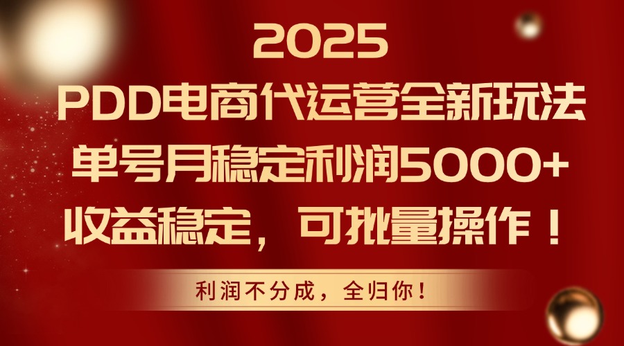 2025PDD电商代运营全新玩法，单号月稳定利润5000+，收益稳定，可批量操作-轻资本网