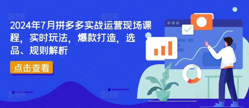 2024年7月拼多多实战运营现场课程，实时玩法，爆款打造，选品、规则解析-轻资本网