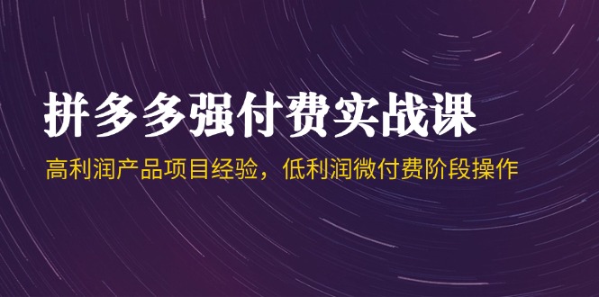 拼多多强付费实战课-44期，高利润产品项目经验，低利润微付费阶段操作-轻资本网