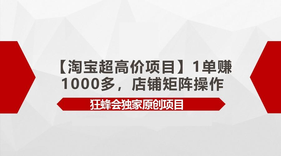 【淘宝超高价项目】1单赚1000多，店铺矩阵操作-轻资本网