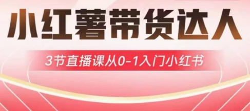 小红薯达人带货启航计划，3节直播课从0-1入门小红书-轻资本网