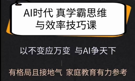 Ai时代真学霸思维与学习方法课，有格局且接地气，家庭教育有力参考-轻资本网