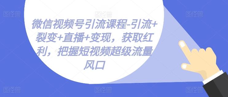 微信视频号引流课程-引流+裂变+直播+变现，获取红利，把握短视频超级流量风口-轻资本网