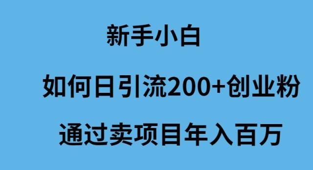 (9668期)新手小白如何日引流200+创业粉通过卖项目年入百万-轻资本网