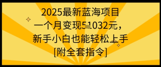 2025最新蓝海项目一个月变现1w+新手小白也能轻松上手【附全套指令】-轻资本网