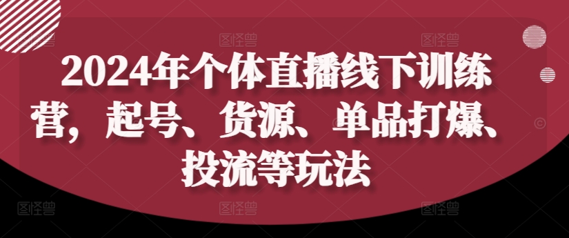 2024年个体直播训练营，起号、货源、单品打爆、投流等玩法-轻资本网