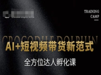 AI+短视频带货新范式，全方位达人孵化课-轻资本网