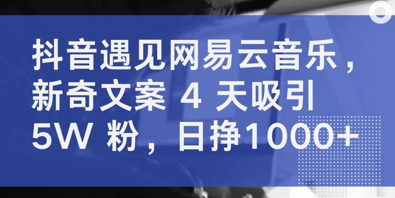 抖音遇见网易云音乐，新奇文案 4 天吸引 5W 粉，日挣1000+【揭秘】-轻资本网