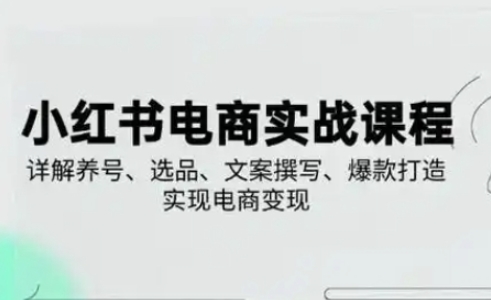 小红书从0-1实操课(2023-2025)，详解养号、选品、文案撰写、爆款打造实现电商变现-轻资本网