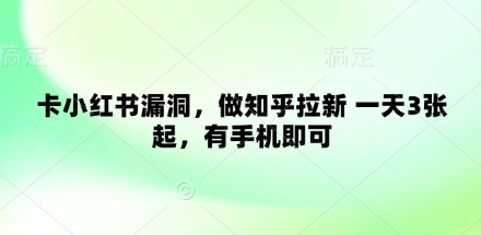 卡小红书漏洞，做知乎拉新 一天3张起，有手机即可-轻资本网