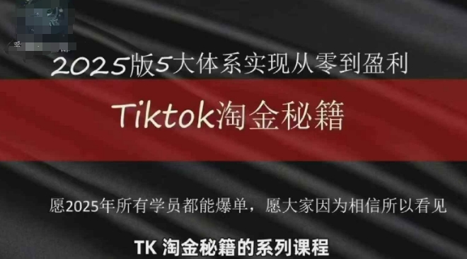 TikTok跨境2025淘金秘籍，​2025TikTok从0到盈利变现-轻资本网