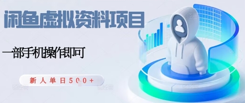 闲鱼虚拟资料项目，每天一小时，新人日入5张-轻资本网