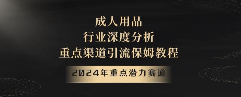 2024年重点潜力赛道，成人用品行业深度分析，重点渠道引流保姆教程【揭秘】-轻资本网