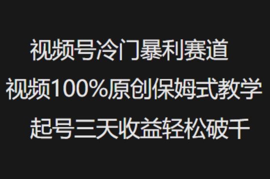 视频号冷门暴利赛道视频100%原创保姆式教学起号三天收益轻松破千-轻资本网