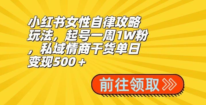 小红书女性自律攻略玩法，起号一周1W粉，私域情商干货单日变现500＋-轻资本网