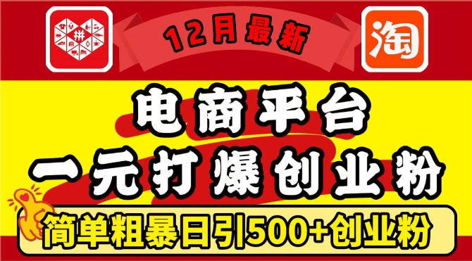 12月最新：电商平台1元打爆创业粉，简单粗暴日引500+精准创业粉，轻松月入过W【揭秘】-轻资本网