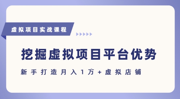抓住虚拟项目各平台优势，新手轻松月入1W+(给出具体建议)-轻资本网