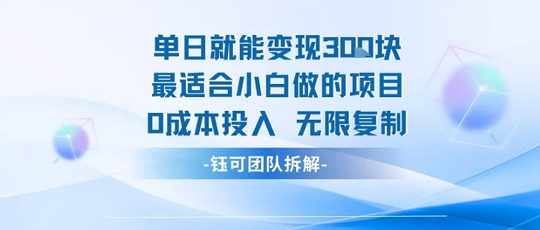 单日就能变现3张最适合小白做的项目0成本投入 无限复制-轻资本网