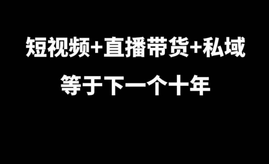 短视频+直播带货+私域等于下一个十年，大佬7年实战经验总结-轻资本网