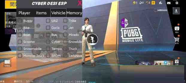 PUBG轻量老外裸奔绘制+自瞄 支持ROOT和框架 里面有全局离线-轻资本网