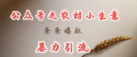 deepseek写农村小项目，条条爆款，暴力引流-轻资本网