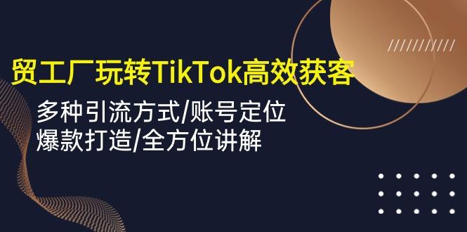 外贸工厂玩转TikTok高效获客，多种引流方式/账号定位/爆款打造/全方位讲解-轻资本网
