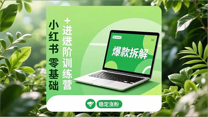 小红书零基础+高阶训练营：安全养号、爆款拆解、长效运营，实现稳定涨粉与变现-轻资本网