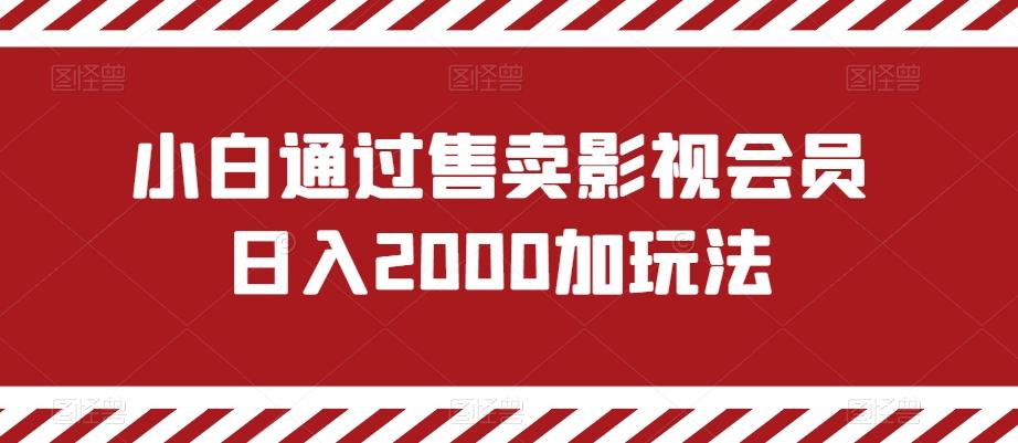 小白通过售卖影视会员日入2000加玩法-轻资本网