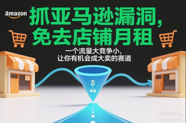抓亚马逊漏洞，免去店铺月租，一个流量大竞争小，让你有机会成大卖的赛道-轻资本网